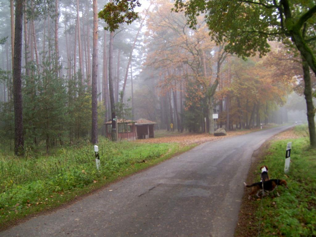 Steffis Zimmervermietung Gräben Exterior foto